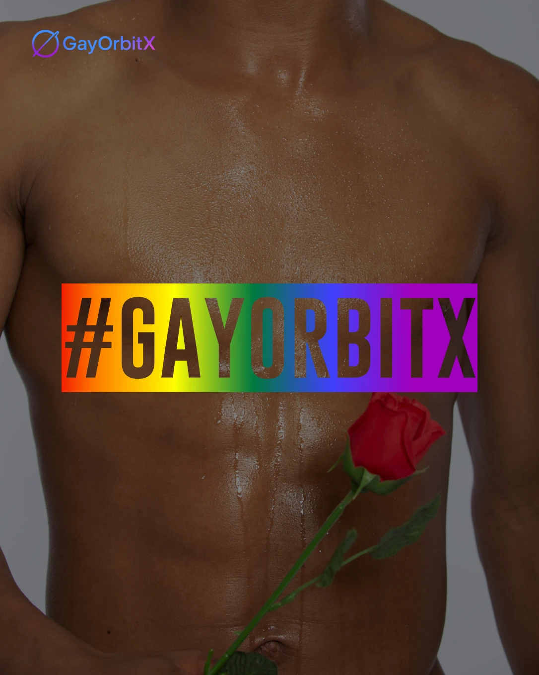 #GayOrbitX